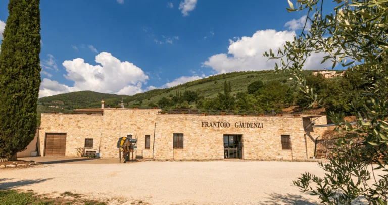 Frantoio min